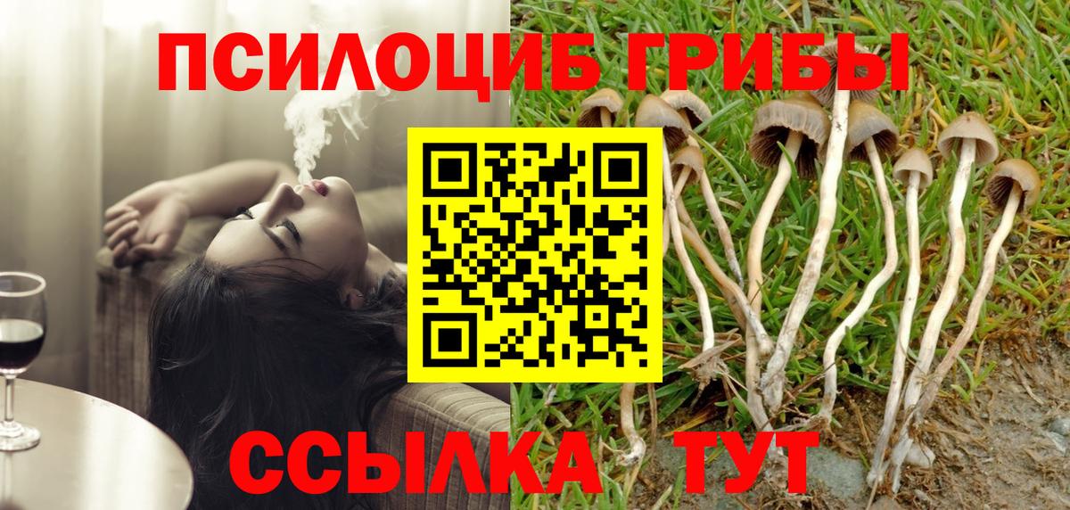 Галлюциногенные грибы Cubensis  Псилоцибиновые грибы Cubensis  купить наркотик  Партизанск  Вход с VPN 